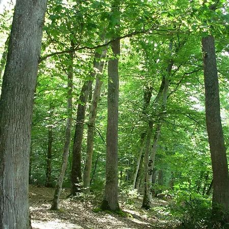 Nocleg ze śniadaniem La Grange Du Bourg